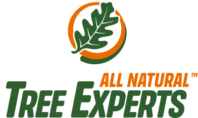 All Natural Tree Experts